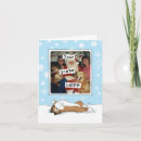 Search for sheltie christmas cards Dogs