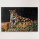 Search for jaguar puzzles Spots
