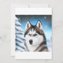 Search for siberian husky christmas cards Alaskan