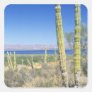 Search for california desert stickers Scenic