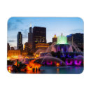 Search for buckingham magnets City