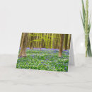 Search for spring cards Wildflower