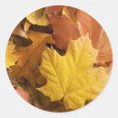Search for nature address stickers Autumn