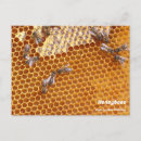 Search for hive postcards Honeybees