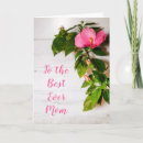Search for hibiscus cards Elegant