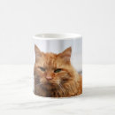 Search for norwegian forest cat mugs Animal