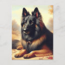Search for belgian postcards Dog