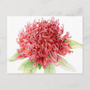 Search for native plants postcards Botanical