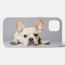 Search for lying cases Puppy