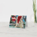 Search for purrfect christmas cards Cat lover christmas