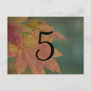 Search for tree table number postcards Nature