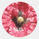 Search for papaver stickers Floral