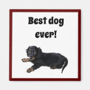 Search for cocker spaniel face magnets Animal