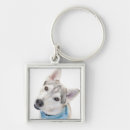 Search for siberian husky key rings Snow dog