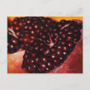 Search for pomegranate postcards Food