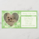 Search for pet birth announcement cards Adoption
