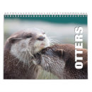 Search for otter photography Ocean