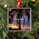 Search for clearwater beach christmas tree decorations Tropical
