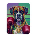 Search for boxer pop Dog