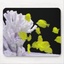 Search for aquarium fish mousepads Yellow