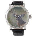 Search for looking at camera watches Wildlife