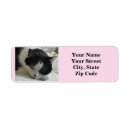 Search for cat person return address labels Cute