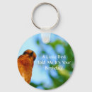 Search for robin key rings Nature