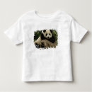 Search for animal toddler tshirts Panda