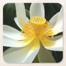 Search for water lily coasters Lotus