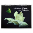Search for photography calendars Floral