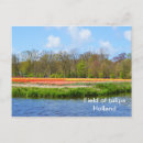 Search for fields postcards Dutch