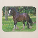 Search for clydesdale horse Ranch