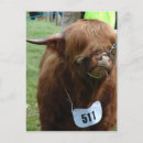 Search for hirsute postcards Hairy