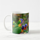 Search for rainbow parrot mugs Birds