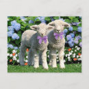 Search for sheep lamb postcards Easter