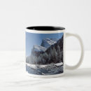 Search for merced mugs Valley