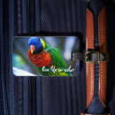 Search for bird travel accessories Colourful