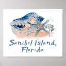 Search for florida seashells art Beach