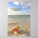 Search for shell beach posters Sand