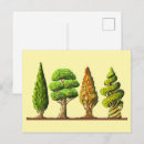 Search for bonsai tree cards Trees