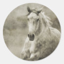 Search for dressage stickers Western