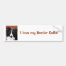Search for border collie bumper stickers Dog breeds