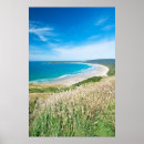 Search for the catlins posters Landscape