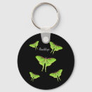 Search for moths key rings Insect