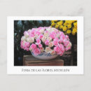 Search for flores postcards Rosa