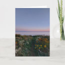 Search for sunset blank cards Nature