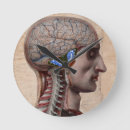 Search for anatomy clocks Medical