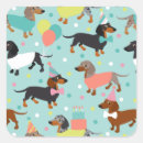 Search for birthday dachshund stickers Doxie