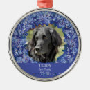 Search for pet memorials Picture