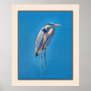 Search for wading Birds